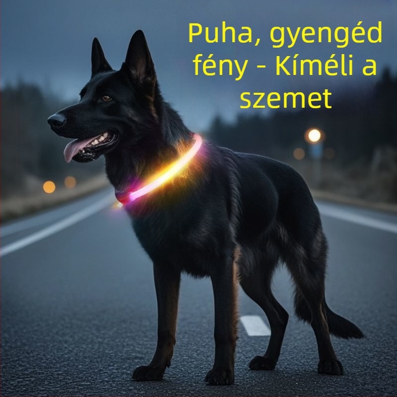 Fénylő kutyanyakörv éjszakai sétákhoz – alkalmas kis- és nagytestű kutyáknak