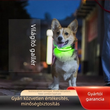 LED világító nylon hálós kutyanyakörv Type-C töltőporttal, vízálló, nagy, közepes és kicsi méretekhez