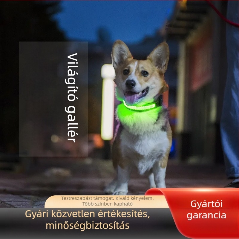 LED világító nylon hálós kutyanyakörv Type-C töltőporttal, vízálló, nagy, közepes és kicsi méretekhez