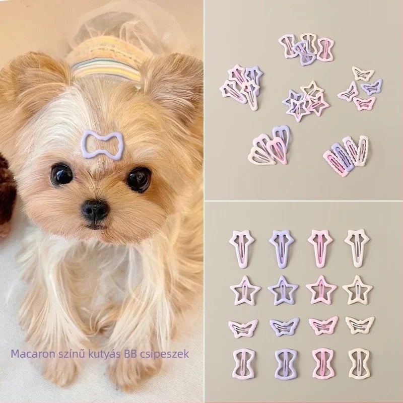 Yorkie frufru hajcsipesz kis testű kutyáknak