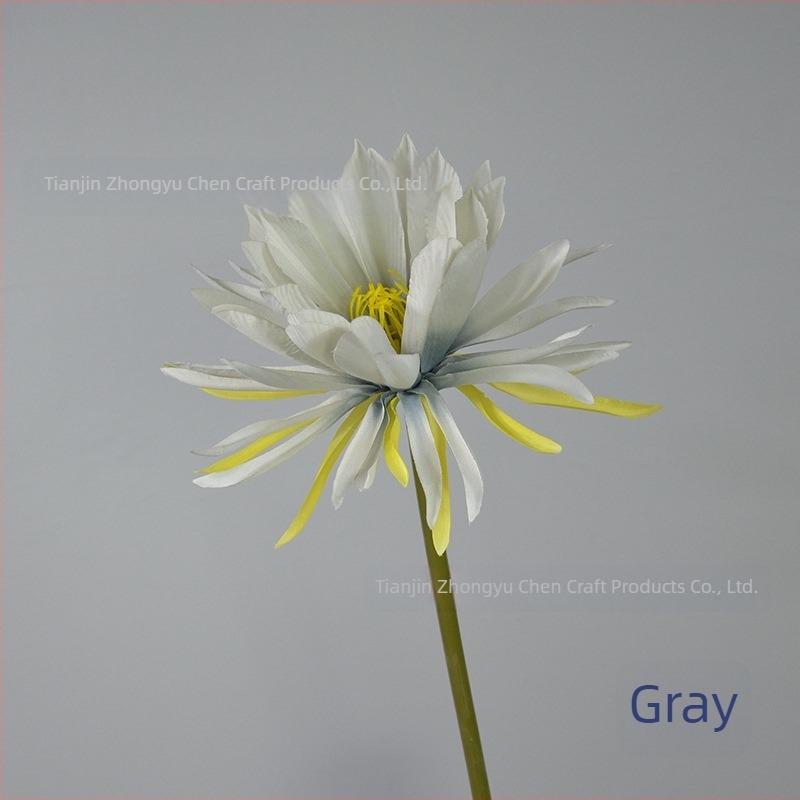 Mesterséges Epiphyllum, egyágú virág fotózáshoz, esküvőre és otthoni dekorációhoz; Anyag: selyem virág; Készítés: styling, relief; Modell 18904525367