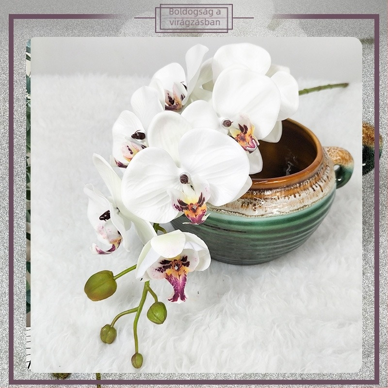 Mesterséges Magnolia Phalaenopsis orchidea — Kis Phalaenopsis, Fajta: Phalaenopsis, Márka: Wing Bee Craft Museum, Anyag: 35888897805, Használat: esküvők, fotó kellékek, otthoni dekoráció