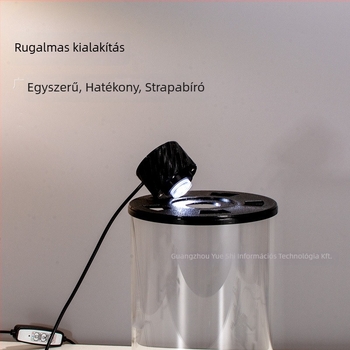 Magas boroszilikát üvegből készült ökológiai palack mikro táj akváriummal – USB növénylámpával – DIY anyag