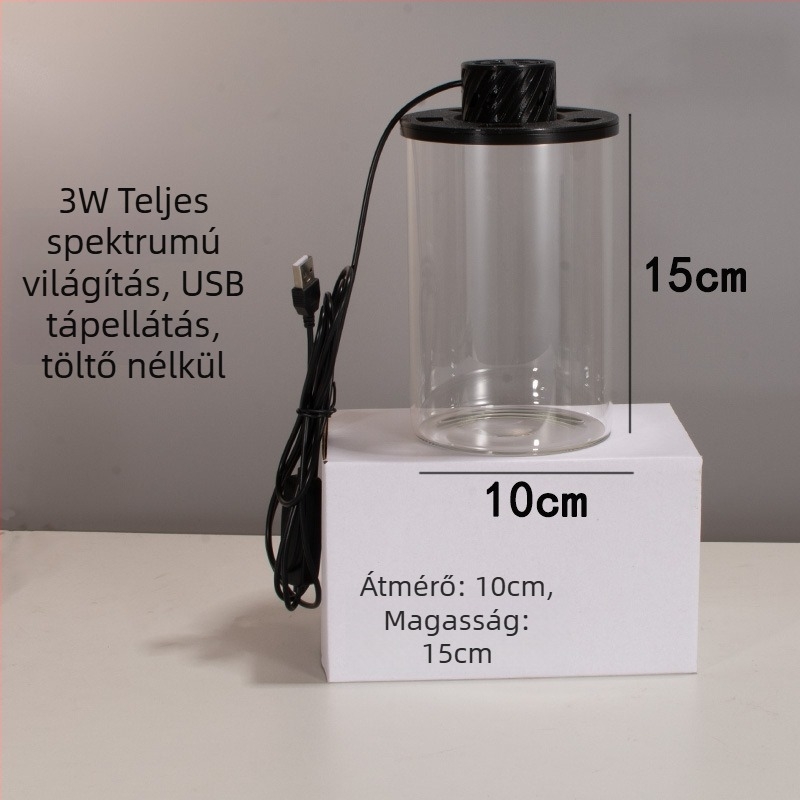 Magas boroszilikát üvegből készült ökológiai palack mikro táj akváriummal – USB növénylámpával – DIY anyag