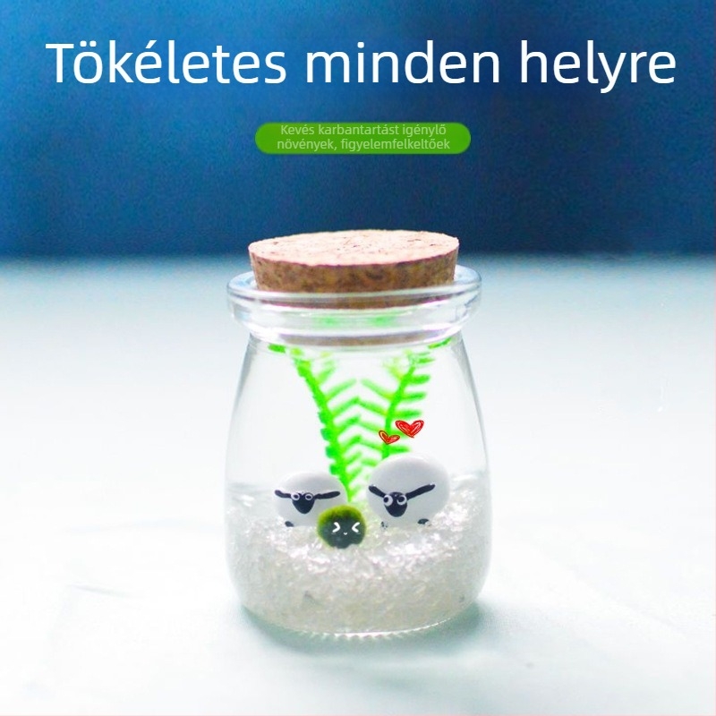 Üvegből készült mikro tájkép üveg DIY hidroponikához – mini ajándéktárgy