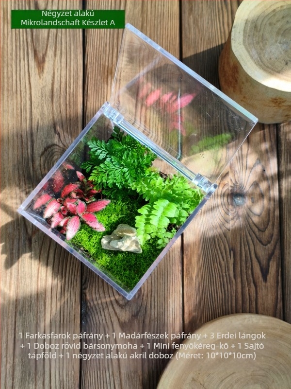 Moha Mikrotáj Készlet – négyszögletes doboz, asztali növény, selyemvirág anyag, teknősbéka mintázat, esküvőre