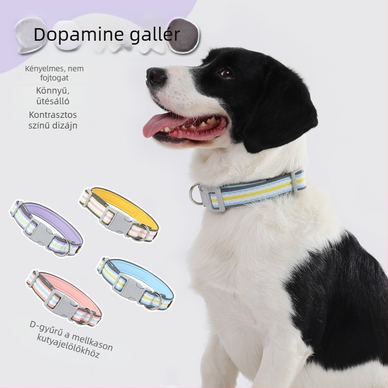 Dopamine kutyanyakörv kicsi- és közepes méretű kutyáknak — kényelmes, nem szorítja a nyakat, robbanásbiztos és vontatható
