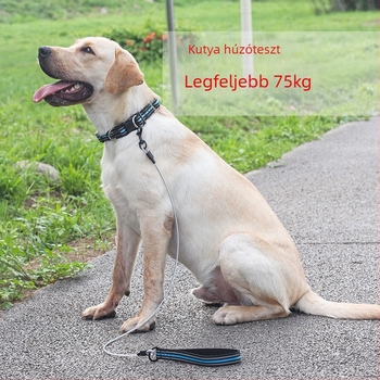 Kutyapóráz acélhuzalból, harapásálló, kényelmes fogantyú, fényvisszaverő, Charming Pet, 200 darabos csomag