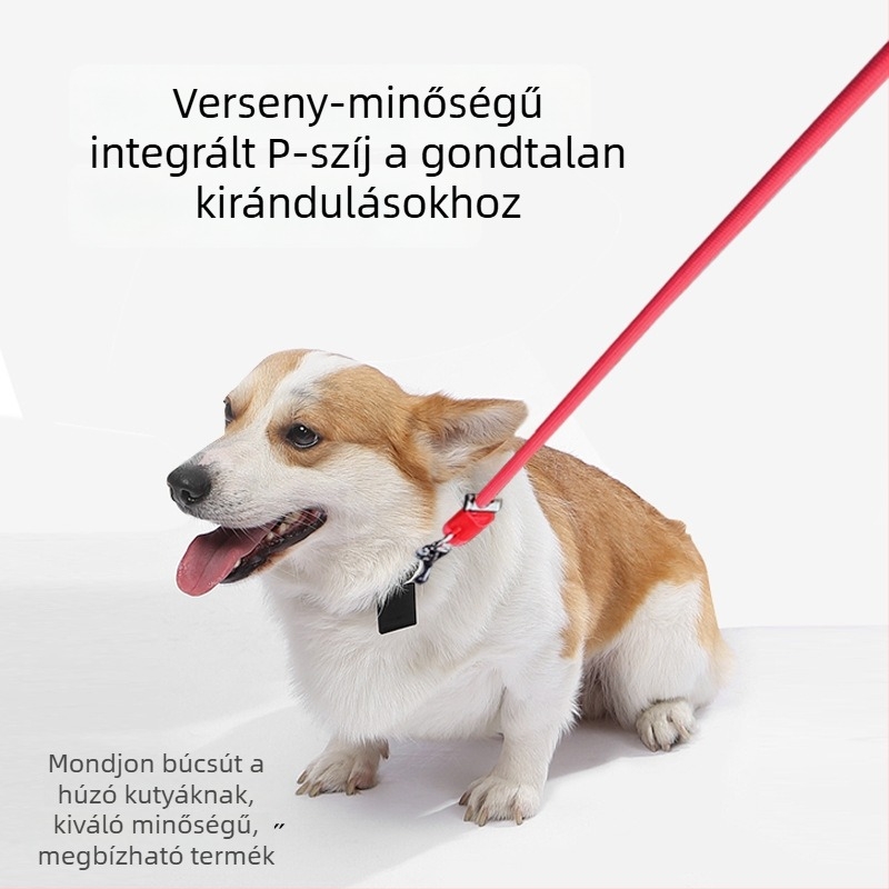 Többfunkciós kutyapóráz derékszíjjal, kéz nélküli sétáltatás, húzás és P-alakú gallér