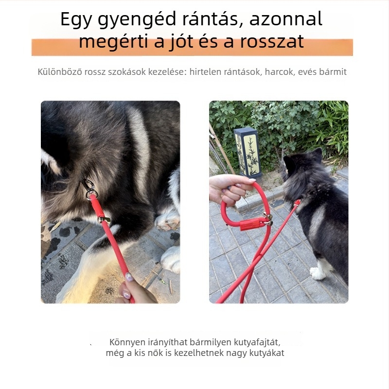 Többfunkciós kutyapóráz derékszíjjal, kéz nélküli sétáltatás, húzás és P-alakú gallér