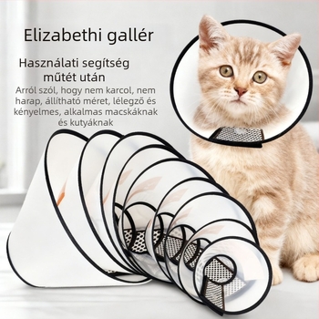 Elizabeth-kör macskáknak és kutyáknak – harapás- és nyalogatás elleni védelem, sterilizálás utáni
