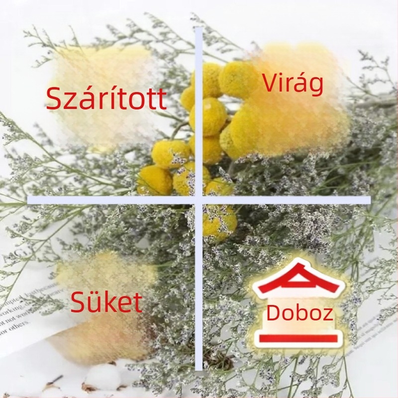Szárított eukaliptusz virágok – arany gömbök, csokor, zacskóban csomagolva
