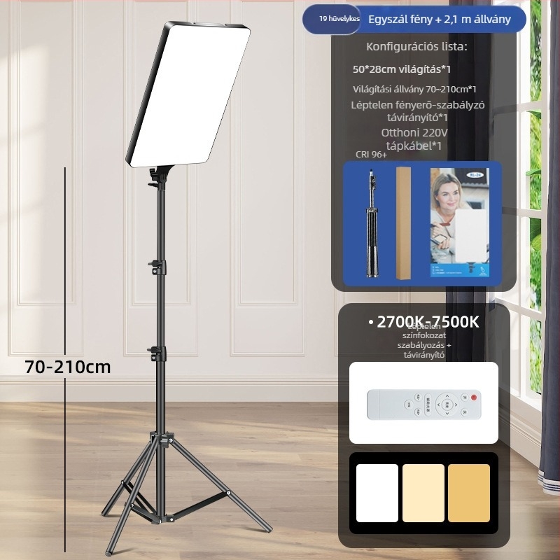 LED élő közvetítésre szolgáló fény RL-24, 80W, 220V, LED fényforrás, három színhőmérséklet