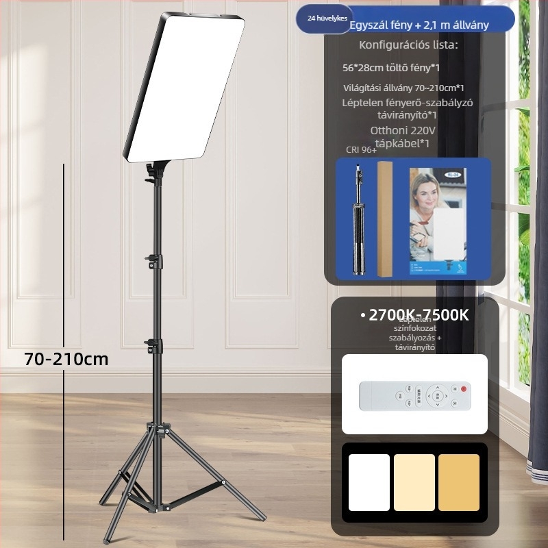 LED élő közvetítésre szolgáló fény RL-24, 80W, 220V, LED fényforrás, három színhőmérséklet