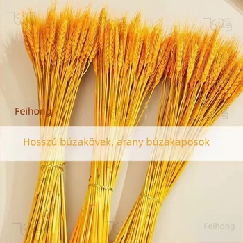 Feihong Árpa Dísz, Injektiós Formázású