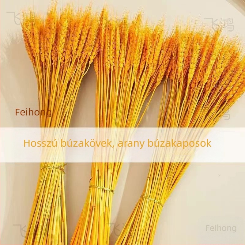 Feihong Árpa Dísz, Injektiós Formázású