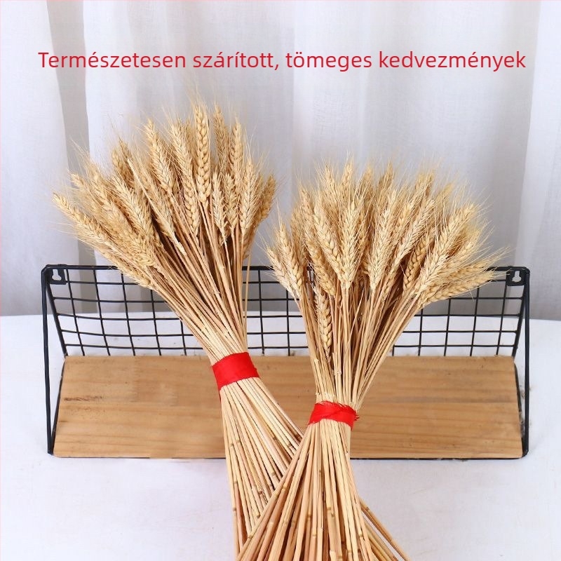 Feihong Árpa Dísz, Injektiós Formázású