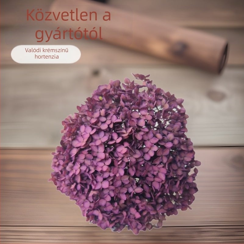 Anna hortenzia – megőrzött virágok, erezett szárított virágok, festett, ágakon