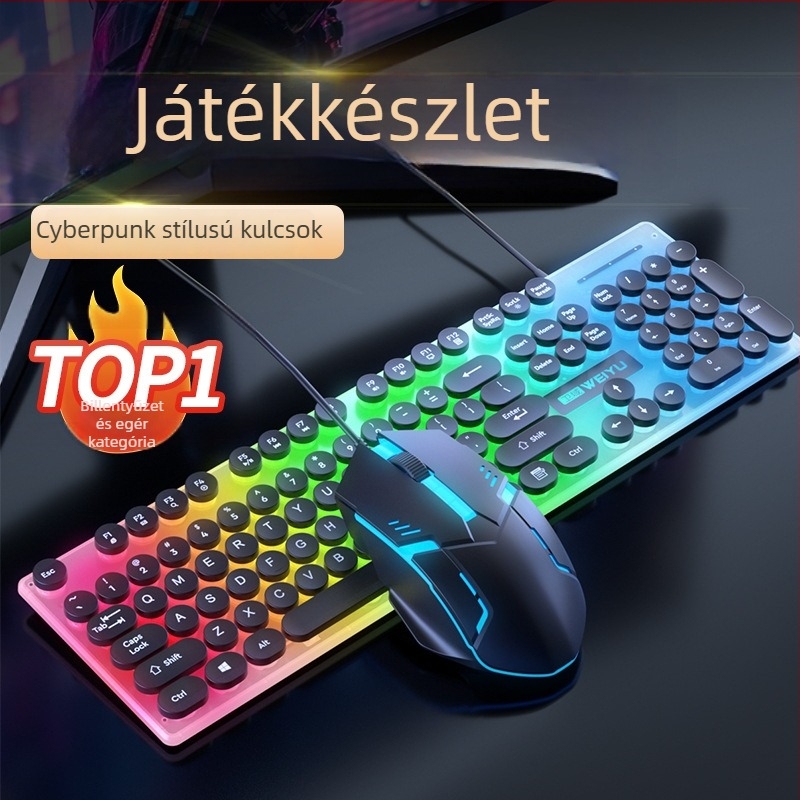 Punk keycap vezetékes billentyűzet és RGB egér készlet, 104 billentyűs USB billentyűzet 1.3 m kábel, ergonómikus, nyomtatható logó, 1000dpi optikai egér