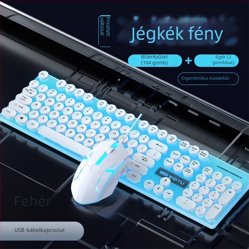 Punk keycap vezetékes billentyűzet és RGB egér készlet, 104 billentyűs USB billentyűzet 1.3 m kábel, ergonómikus, nyomtatható logó, 1000dpi optikai egér