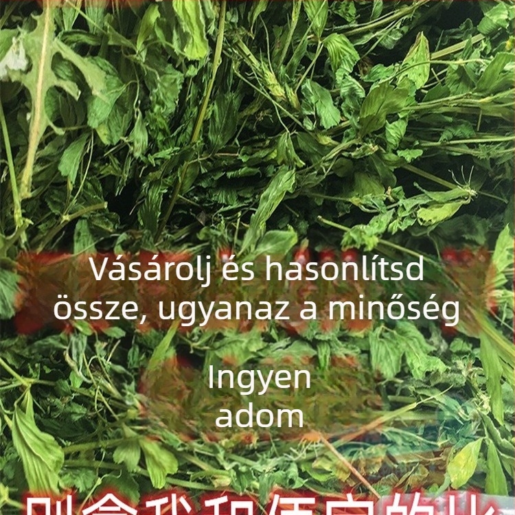 Nedves eledel alfalfa szénával felnőtt nyulaknak, tengerimalacoknak és chinchilláknak