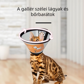 Elizabeths gallér macskáknak és kutyáknak, posztoperatív védelem, fejvédő a karmolás és harapás ellen (Anyag: PP/PE; Kategória: Elizabeth Circle; Csomagolás: 100 db; Licencelt magáncímke; Márka: Very good brand)