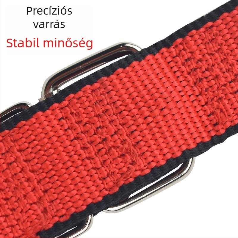 Állítható habnyakörv kis méretű kutyáknak, puha belsővel – háromrészes készlet