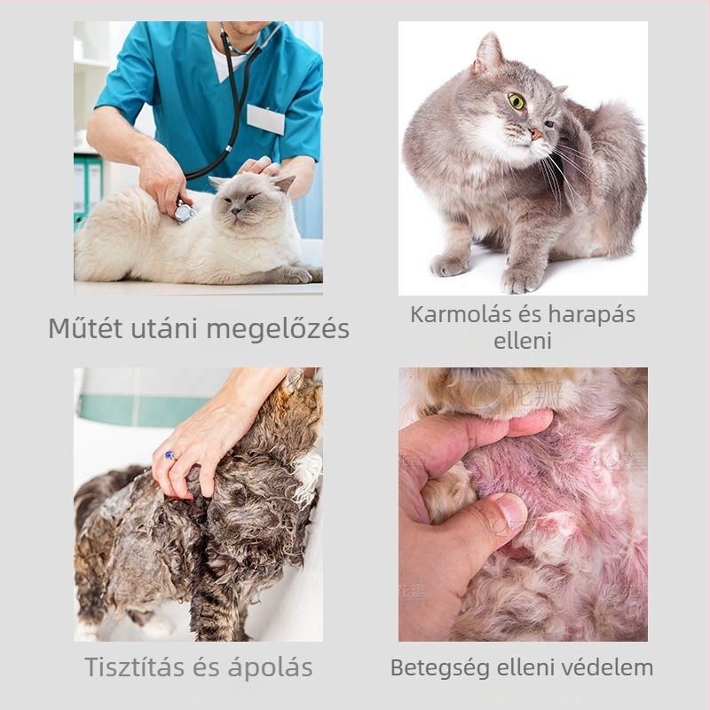 Puha Elizabethán gallér háziállatoknak, védő kónusz macskáknak és kutyáknak, több méretben