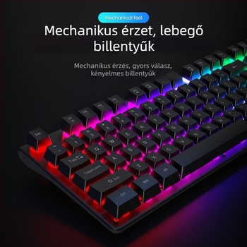 Vezetékes billentyűzet és egér készlet, mechanikus érzet, háttérvilágítás, halk működés, asztali számítógéphez és laptophoz – iroda és gaming Esports