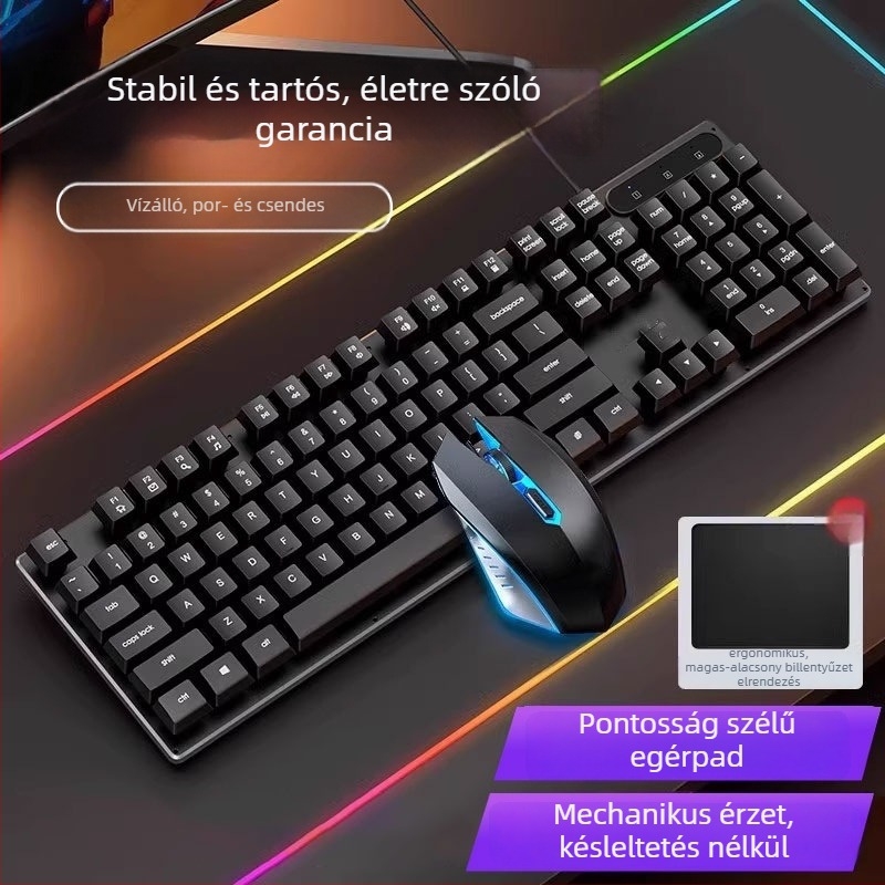 Vezetékes billentyűzet és egér készlet, mechanikus érzet, háttérvilágítás, halk működés, asztali számítógéphez és laptophoz – iroda és gaming Esports