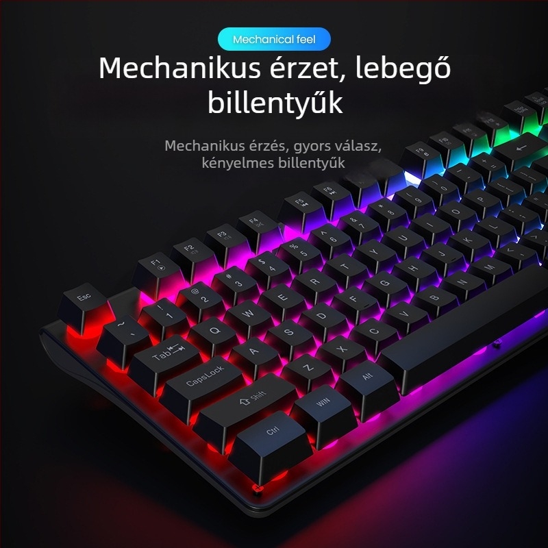 Vezetékes billentyűzet és egér készlet, mechanikus érzet, háttérvilágítás, halk működés, asztali számítógéphez és laptophoz – iroda és gaming Esports