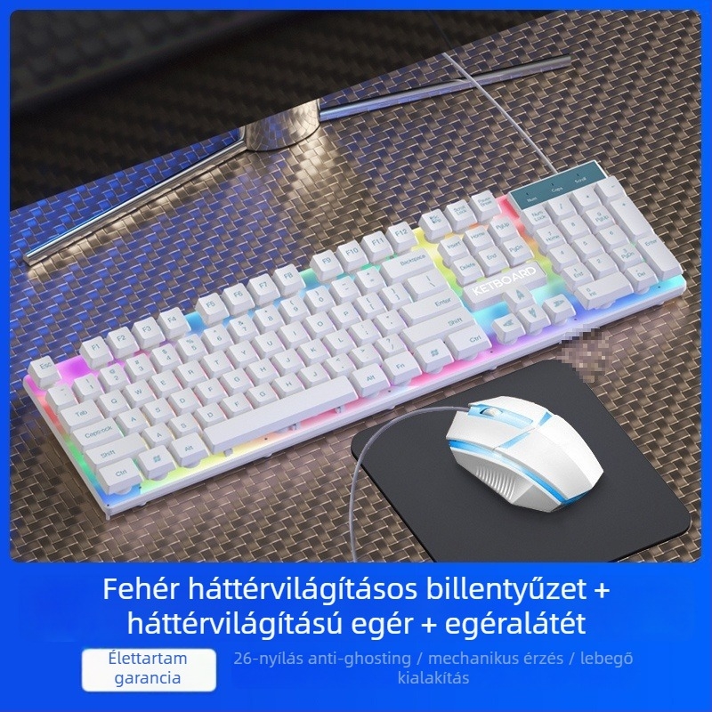 Vezetékes billentyűzet és egér készlet, mechanikus érzet, háttérvilágítás, halk működés, asztali számítógéphez és laptophoz – iroda és gaming Esports