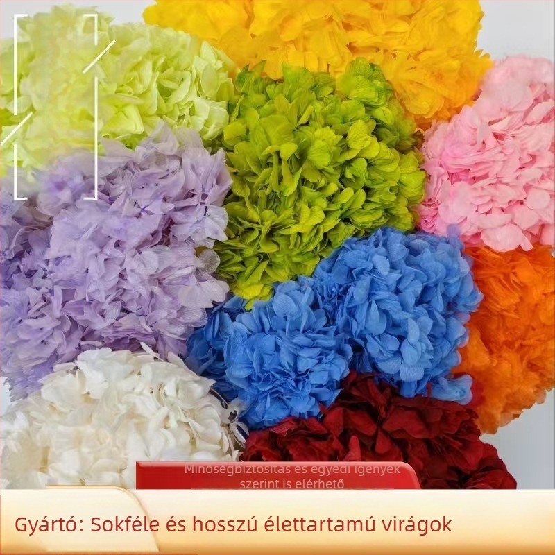 Csokor megőrzött virágokból — Nagylevelű hortenzia; Anyag: megőrzött virágok; Márka: Nothing