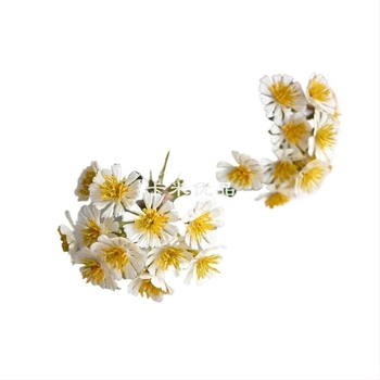 Baba ház mini virág dekoráció, száraz virágok, flockos felület, Daisy variáció