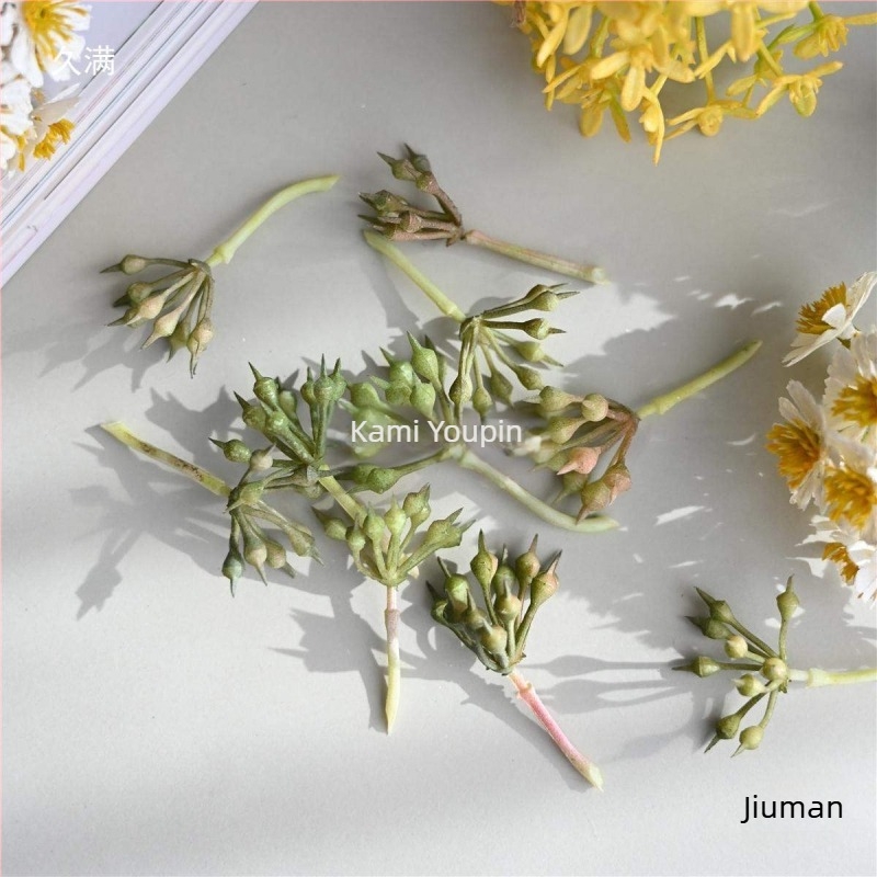 Baba ház mini virág dekoráció, száraz virágok, flockos felület, Daisy variáció