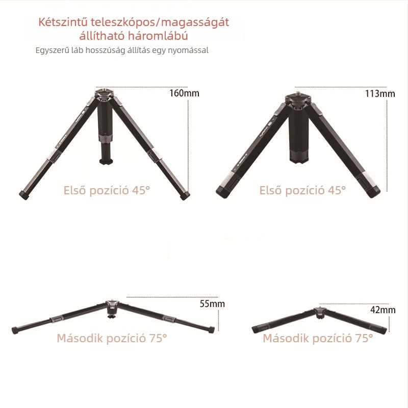 ST100 asztali alumíniumötvözet állvány, kétfokozat teleszkópos magasságbeállítás, 11.5–30 cm, terhelhetőség legfeljebb 2 kg