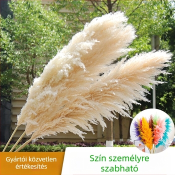 Száraz virágokból álló esküvői dekorációs készlet északi stílusban – GHC-018, Elegant Lover