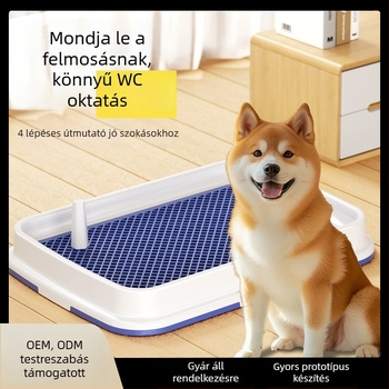Kis méretű kutyák vécéje edzéshez, Bichon Frisé