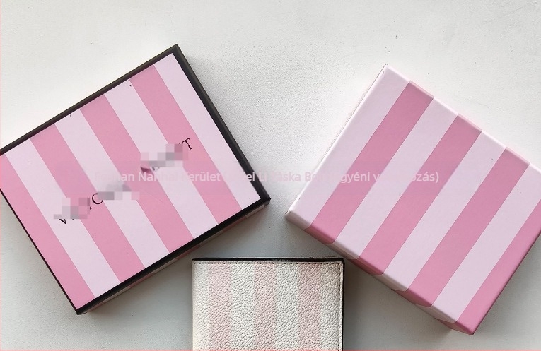 Ultra vékony csíkos PU útlevél és kártyatartó – uniszex utazási dokumentum szervező, poliészter bélés, 2024 tavasz kiadás