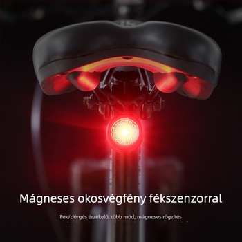 Kerékpár hátsó fénye intelligens fékérzékelővel MTB és országúti kerékpárokhoz, hosszú élettartamú riasztás (Márka: Jiu Yue/yuuisd; Testreszabás: Igen; Importált: Nem)