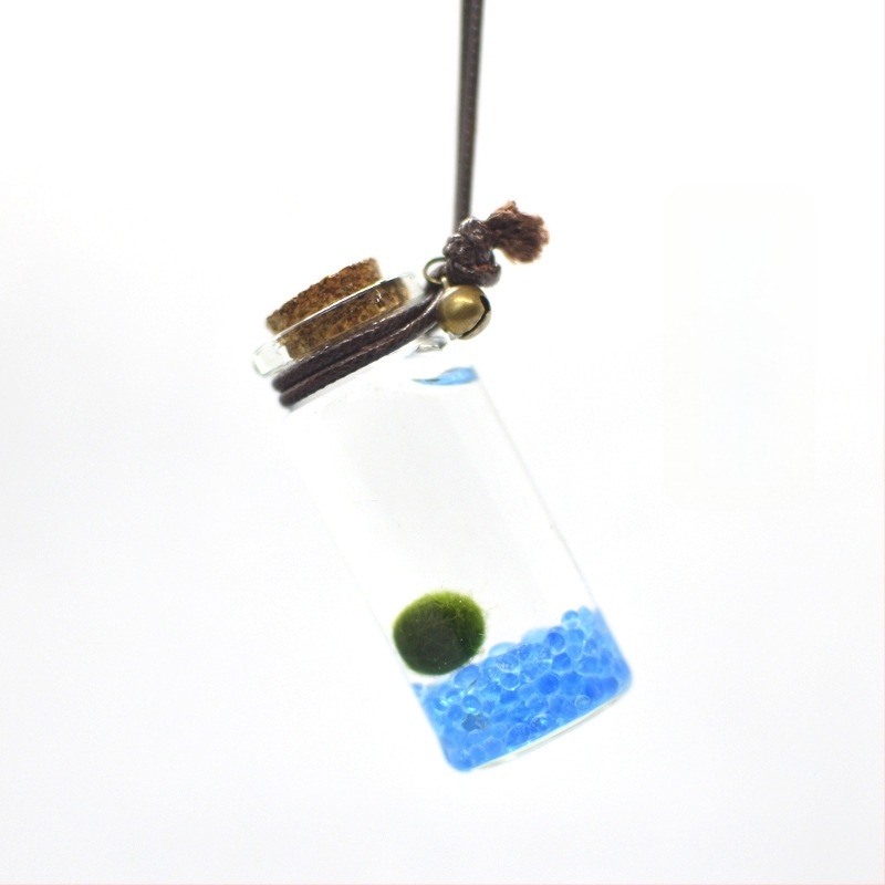 Üvegből készült marimo öko palack – mini vízivilág, hidroponia, testreszabható, eredeti dizájn