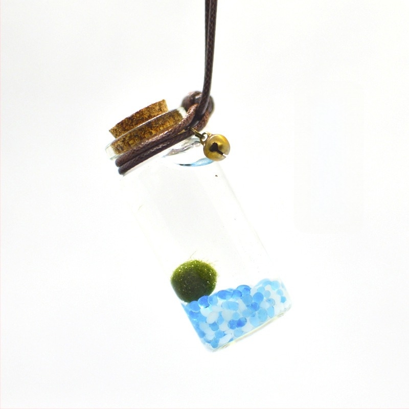 Üvegből készült marimo öko palack – mini vízivilág, hidroponia, testreszabható, eredeti dizájn