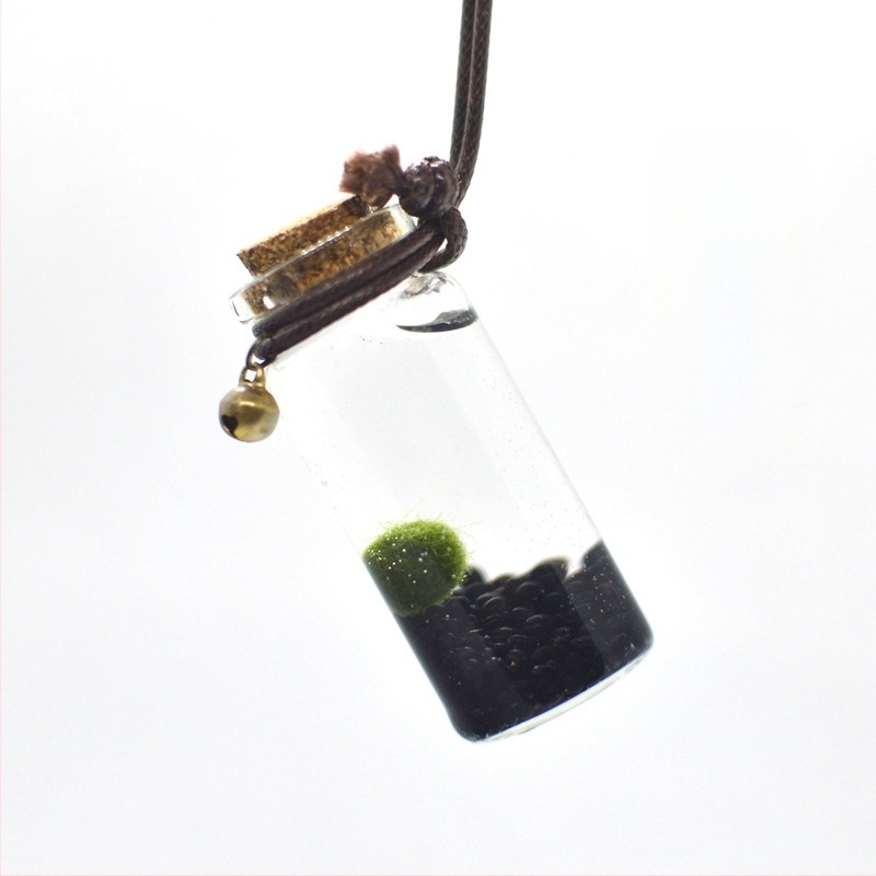 Üvegből készült marimo öko palack – mini vízivilág, hidroponia, testreszabható, eredeti dizájn