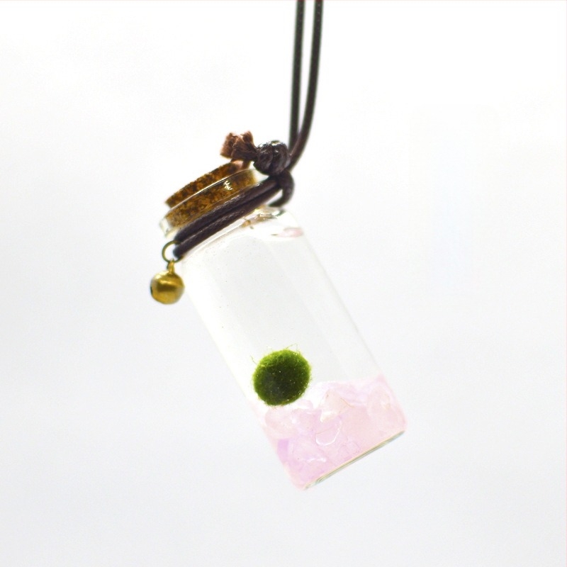 Üvegből készült marimo öko palack – mini vízivilág, hidroponia, testreszabható, eredeti dizájn