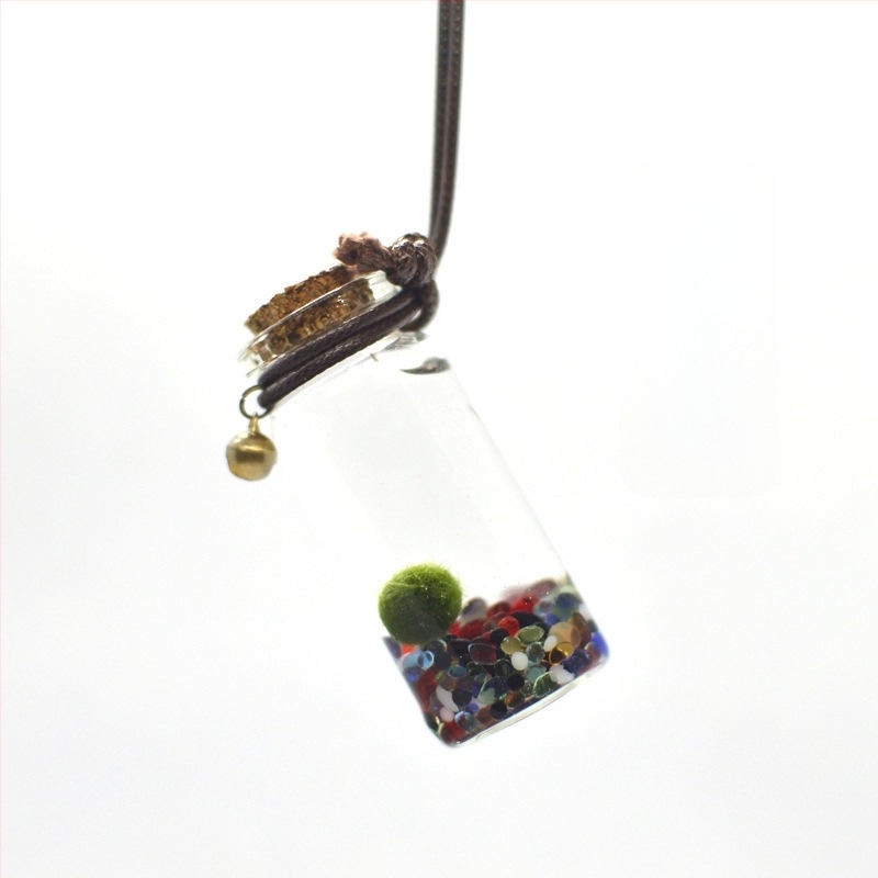 Üvegből készült marimo öko palack – mini vízivilág, hidroponia, testreszabható, eredeti dizájn