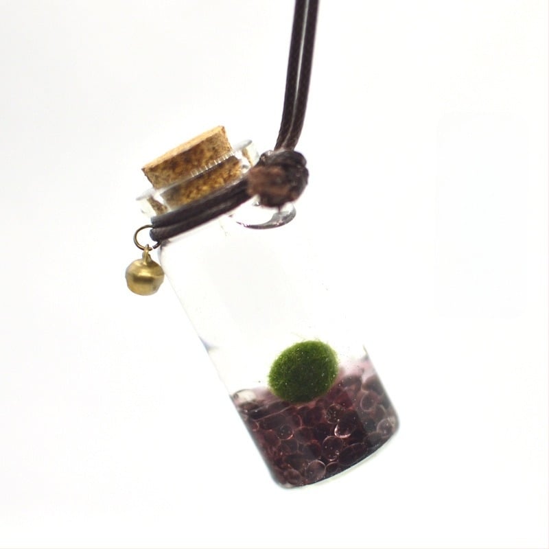 Üvegből készült marimo öko palack – mini vízivilág, hidroponia, testreszabható, eredeti dizájn