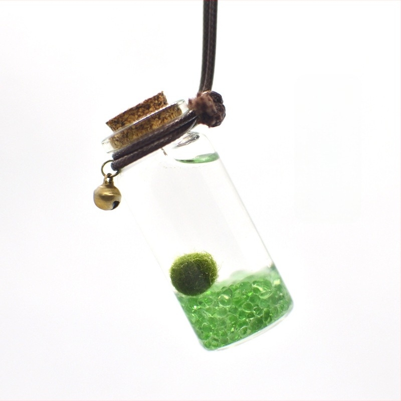 Üvegből készült marimo öko palack – mini vízivilág, hidroponia, testreszabható, eredeti dizájn