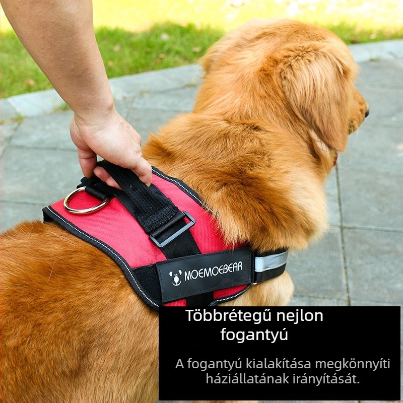 Dada Bear mellkasi hám kutyáknak – szövet, 120 darabos készlet