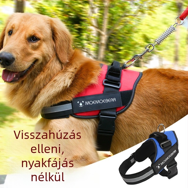 Dada Bear mellkasi hám kutyáknak – szövet, 120 darabos készlet