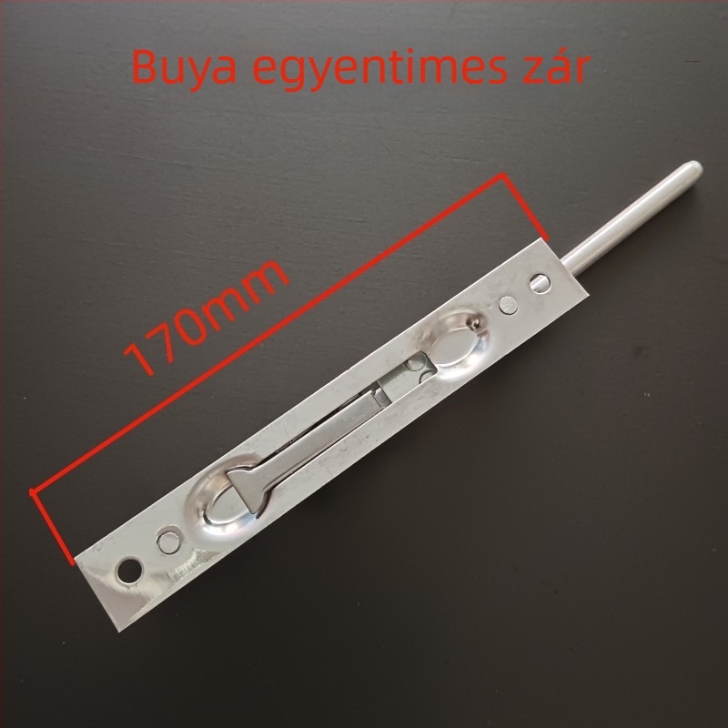 Rejtett ajtózár mechanizmus biztonsági és tűzvédelmi ajtókhoz, rozsdamentes acélból, modell 31, nehéz csap, világos felület, modern minimalista stílus